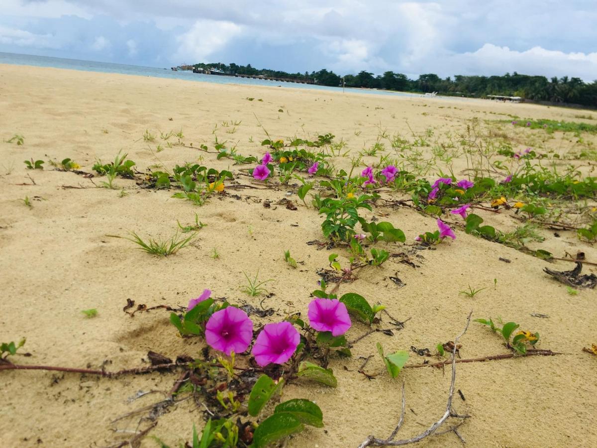 Pic-Nic Beach Corn Island Hotel Buitenkant foto
